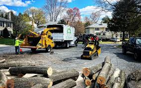 Best Lawn Grading and Leveling  in Clinton, OK