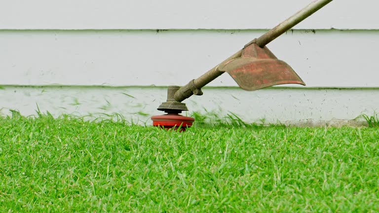 Best Artificial Turf Installation  in Clinton, OK